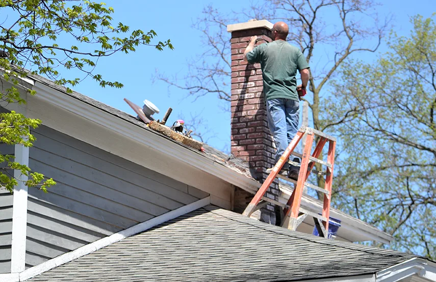 Chimney & Fireplace Inspections Services in Buenaventura Lakes, FL